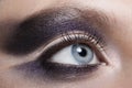 Beautiful violet makeup