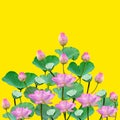 Beautiful violet pink water lily pattern for nature concept,Lotus flower and green leaves isolated on yellow background Royalty Free Stock Photo