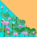 Beautiful violet pink water lily pattern for nature concept,Lotus flower and green leaves in pond isolated on orange blue Royalty Free Stock Photo