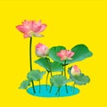 Beautiful violet pink water lily pattern for nature concept,Lotus flower and green leaves in pond isolated on yellow background Royalty Free Stock Photo