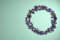 Beautiful violets in circle form on light blue background Royalty Free Stock Photo