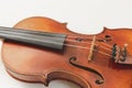 Beautiful Violin or Fiddle Detailed Closeup on White Background