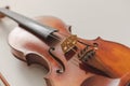 Beautiful Violin Detailed Closeup on White Background