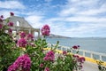 Beautiful vivid flower garden scenery on Alcatraz Island in San Francisco, California