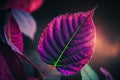 A beautiful vivid magenta leaf in the sun, ai generated