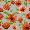 Beautiful vivid red poppy flowers on green stems with leaves on gray background. Seamless floral pattern. Watercolor painting. Royalty Free Stock Photo