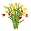 Beautiful vivid yellow and red tulips on long stems with green leaves in a bunch. Bouquet of spring flowers. Royalty Free Stock Photo