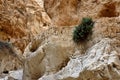 Beautiful Wadi Murabb`at canyon Nahal Darga ,Judean desert, Israel, famous natural landmark