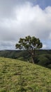 Beautiful Wagamon hills Idukki kerala India