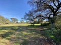 Beautiful walk along the amazing Algibre River in Loule region, Algarve, Portugal