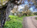 Beautiful walk along the amazing Algibre River in Loule region, Algarve, Portugal