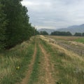 Beautiful walk down scenic Kamloops trail!