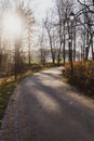 Beautiful walking path in a park on a sunny autumn day with bare trees, light posts Royalty Free Stock Photo