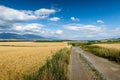 Beautiful walking trail through fields and with view on Western Tatras in Liptov region Royalty Free Stock Photo