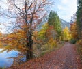 Beautiful walkway along lake Laudachsee, Grunberg mountain, autumnal landscape austria
