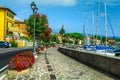 Beautiful walkway with colorful oleander flowers, Toscolano-Maderno, Italy