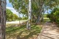 Beautiful walkway in the garden of Troia covered with green trees, Grandola municipality, Portugal