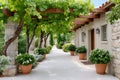 Grapevine covering the walkway of a house Royalty Free Stock Photo