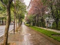 Beautiful walkway beside the road and Nature in the rainy day at Wulingyuan District Zhangjiajie City China.