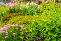 Beautiful walled garden, UK Royalty Free Stock Photo