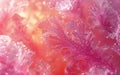 Beautiful wallpaper,cloud,dreamlike,fantasy,pink and lemon candy floss luminogram Royalty Free Stock Photo