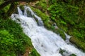 Beautiful wallpaper milk waterfall flow rapid stream. Caucasus rocky mountain river in forest. Isichenko waterfall, Guamka, Mezmay