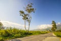 beautiful wamena country road in the morning