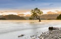 Beautiful Wanaka lake during sunset, New Zealand Royalty Free Stock Photo