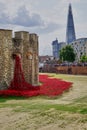 Red Poppies Flood the Walls and Grounds at the Tower of London Royalty Free Stock Photo