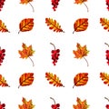 Beautiful warm seamless pattern with autumn leaves and berries Royalty Free Stock Photo