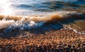 Beautiful warm sunset light over shell beach