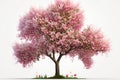 Beautiful Warm weather Spring Season, popular or the most searched in stock photos.