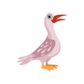 Beautiful water bird vector Illustration on a white background