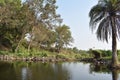 A beautiful water body with reflection of green tress