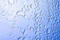 Beautiful water droplets on blue background Royalty Free Stock Photo