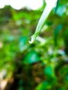 Beautiful water drops in green leaf Royalty Free Stock Photo