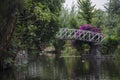 Beautiful water scene, bridge over a canal in Xochimilco, Mexico