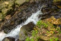 Beautiful water stream flowing through rocks, grass and small yellow flowers Royalty Free Stock Photo