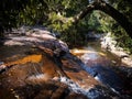 Beautiful water stream of waterfall with green tropical tree and stone landscape Royalty Free Stock Photo