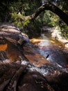 Beautiful water stream of waterfall with green tropical tree and stone landscape Royalty Free Stock Photo