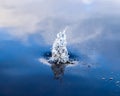 Beautiful water waves and ripples from a drop falling into a water surface of a lake Royalty Free Stock Photo