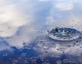 Beautiful water waves and ripples from a drop falling into a water surface of a lake Royalty Free Stock Photo