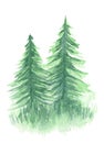 Watercolor background with two green firs or pines Royalty Free Stock Photo