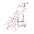 Beautiful watercolor bouquet with birds and flowers and bird cage. Illustration Royalty Free Stock Photo