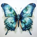 Beautiful watercolor butterfly on a light background Royalty Free Stock Photo