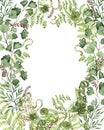 Beautiful Watercolor card with different  ferns Royalty Free Stock Photo