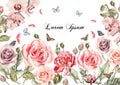 Beautiful watercolor card with peony flowers, roses. Butterflies and plants. Royalty Free Stock Photo