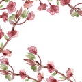 Beautiful watercolor cherry blossom or Sakura in spring. isolated branches and pink flowers on white background