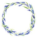 Watercolor circlet of lavender flowers