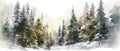 Beautiful watercolor coniferous forest illustration, Christmas fir trees, winter nature, holiday background Royalty Free Stock Photo